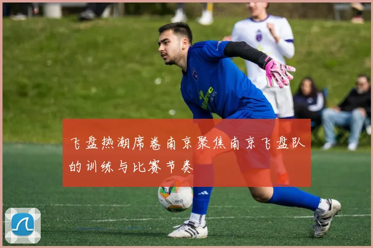 飞盘热潮席卷南京聚焦南京飞盘队的训练与比赛节奏