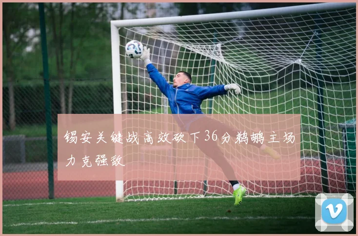 锡安关键战高效砍下36分鹈鹕主场力克强敌
