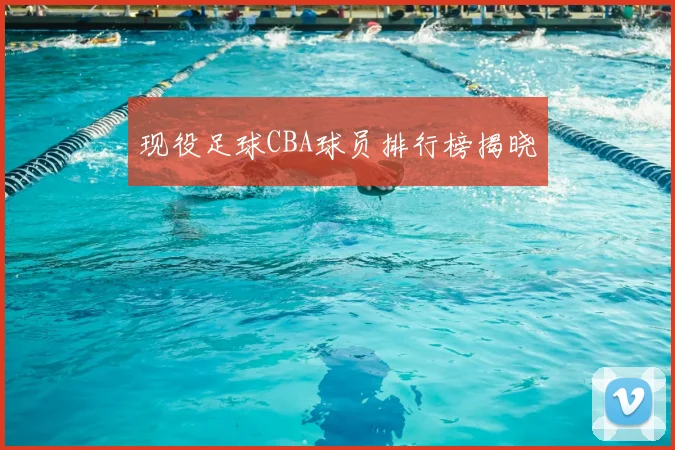 现役足球CBA球员排行榜揭晓