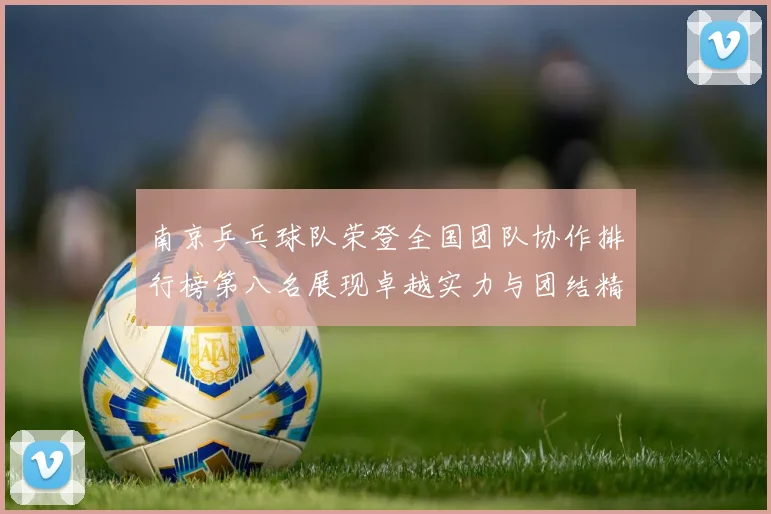 南京乒乓球队荣登全国团队协作排行榜第八名展现卓越实力与团结精神