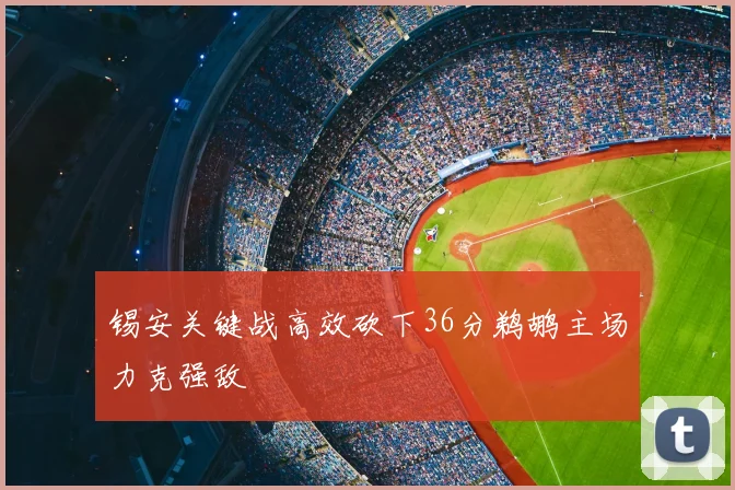 锡安关键战高效砍下36分鹈鹕主场力克强敌