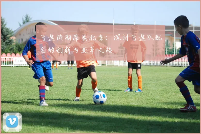 飞盘热潮席卷北京:探讨飞盘队配合的创新与变革之路