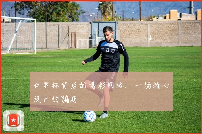 世界杯背后的博彩网络：一场精心设计的骗局