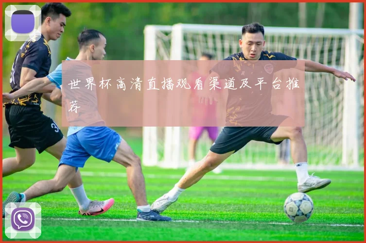 世界杯高清直播观看渠道及平台推荐