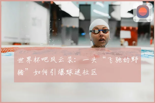 世界杯吧风云录：一头“飞驰的野猪”如何引爆球迷社区