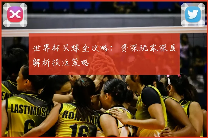 世界杯买球全攻略：资深玩家深度解析投注策略