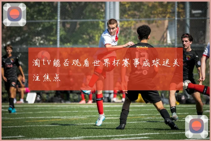 淘tv能否观看世界杯赛事成球迷关注焦点