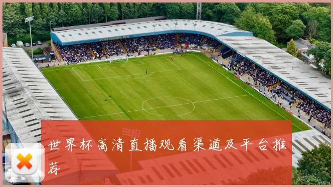 世界杯高清直播观看渠道及平台推荐