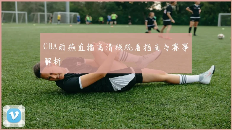 CBA雨燕直播高清线观看指南与赛事解析