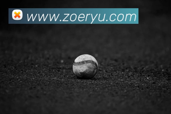 华体官方版网站平台生态图